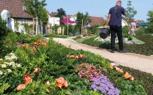 Anregungen für die Grabpflege gibt es im Erinnerungsgarten der Kulturen