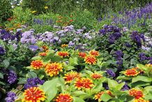 Üppige Blumenpracht zwischen Eingang Stadtmitte und Rosengarten