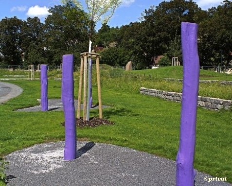 Die Fünf Esslinger: Fitnessübungen für Jung und Alt zum Mitmachen