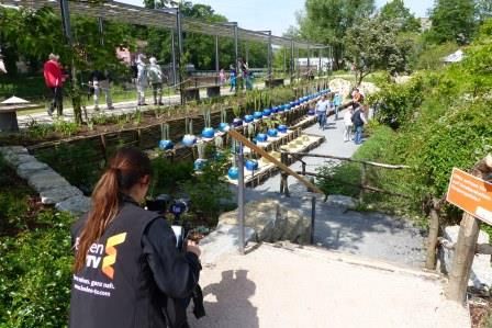 Aufnahmebeginn für Baden-TV über den Kakteen-Terrassen