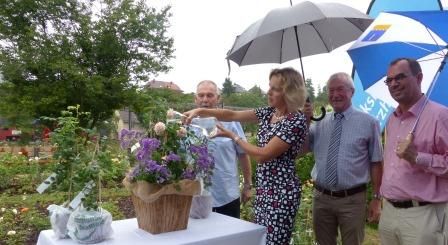 Die Gartenschau-Rose Enztraum: Franz Wänninger, Sandra Sailer, Fritz Schäfer, der stellvertretende Vorstandsvorsitzende der Volksbank Pforzheim und Oberbürgermeister Frank Schneider (v.l.)