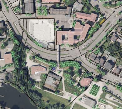 Beispiel für ein digitales Baumkataster.