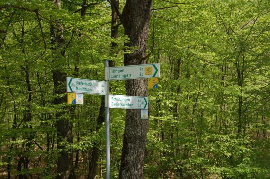 Waldwege bei Mühlacker. 